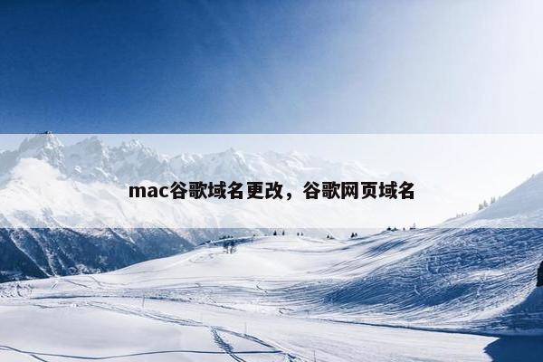 mac谷歌域名更改，谷歌网页域名