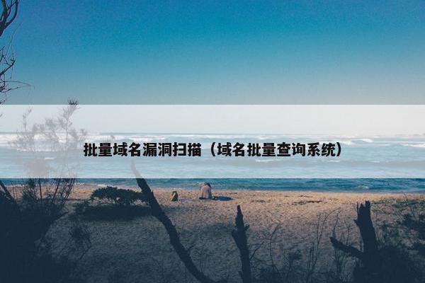 批量域名漏洞扫描（域名批量查询系统）