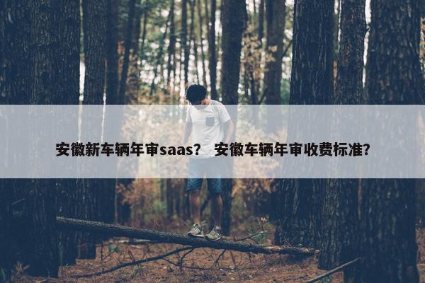安徽新车辆年审saas？ 安徽车辆年审收费标准？