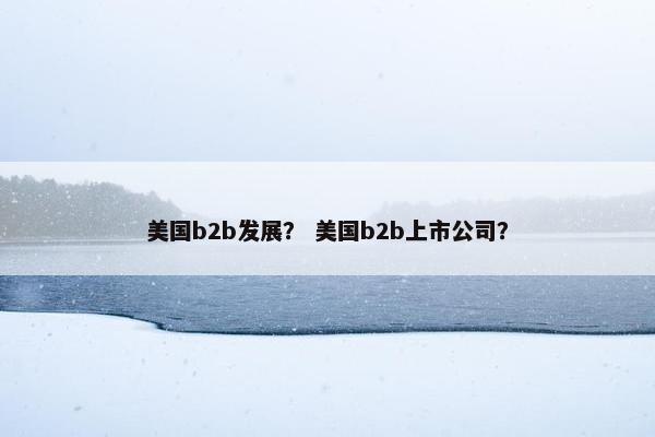 美国b2b发展？ 美国b2b上市公司？