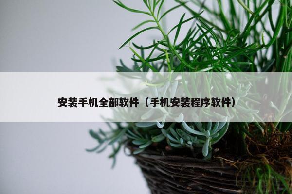 安装手机全部软件（手机安装程序软件）