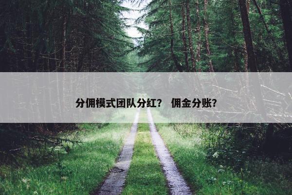 分佣模式团队分红？ 佣金分账？