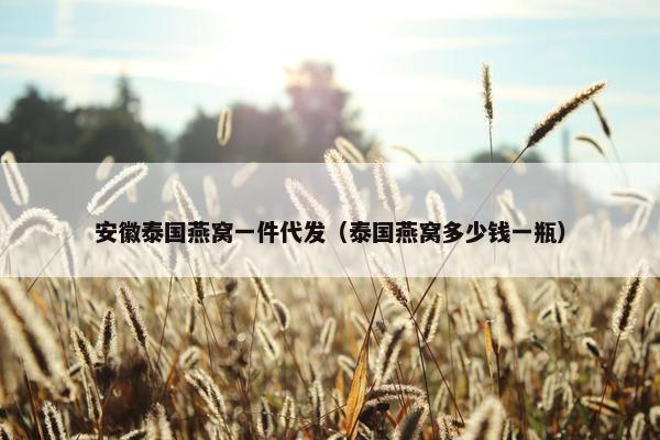 安徽泰国燕窝一件代发（泰国燕窝多少钱一瓶）