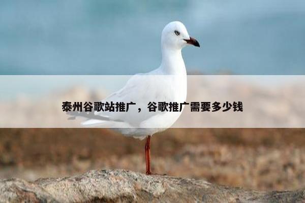 泰州谷歌站推广，谷歌推广需要多少钱
