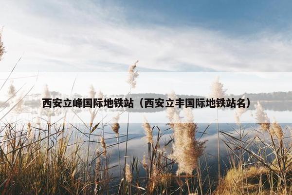 西安立峰国际地铁站（西安立丰国际地铁站名）