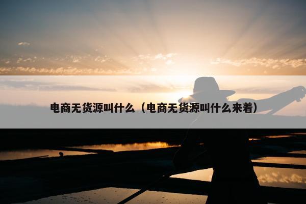 电商无货源叫什么（电商无货源叫什么来着）