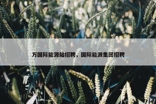 万国际能源站招聘，国际能源集团招聘