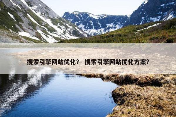 搜索引擎网站优化？ 搜索引擎网站优化方案？