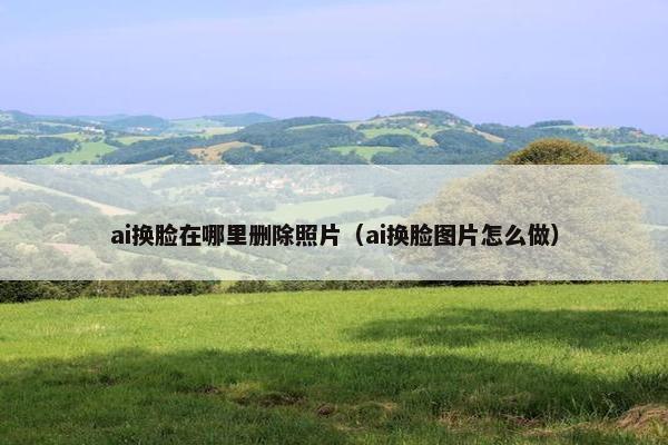 ai换脸在哪里删除照片（ai换脸图片怎么做）