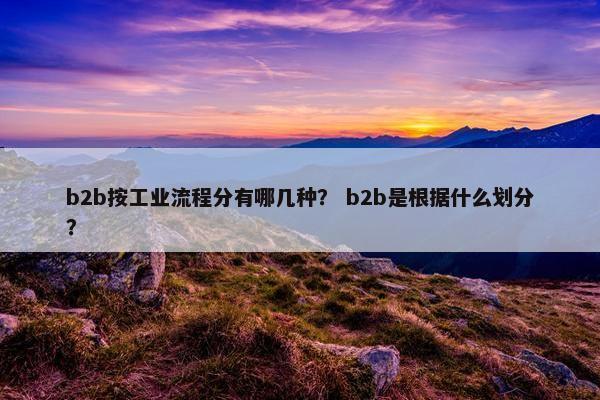 b2b按工业流程分有哪几种？ b2b是根据什么划分？