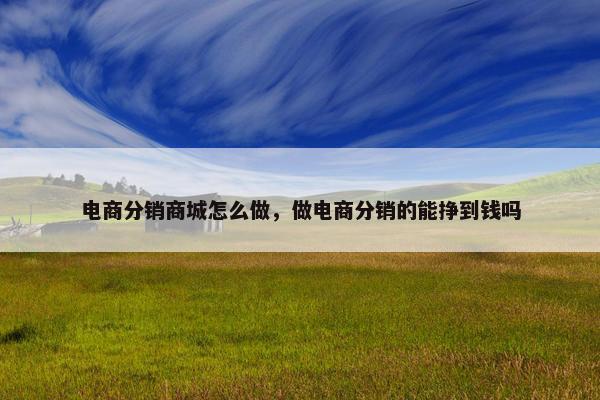 电商分销商城怎么做，做电商分销的能挣到钱吗