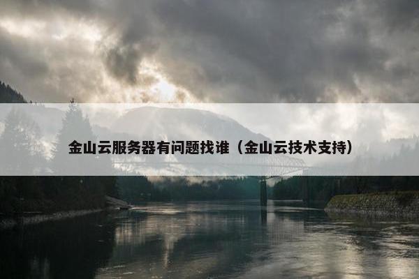 金山云服务器有问题找谁（金山云技术支持）