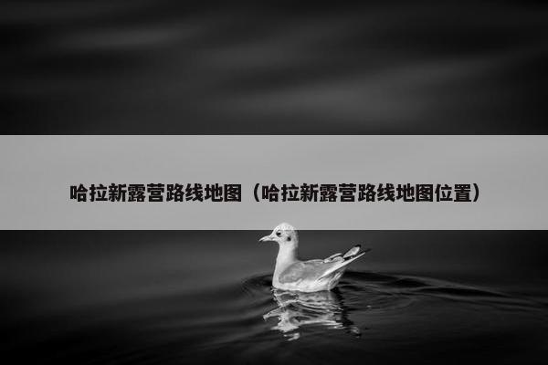 哈拉新露营路线地图（哈拉新露营路线地图位置）