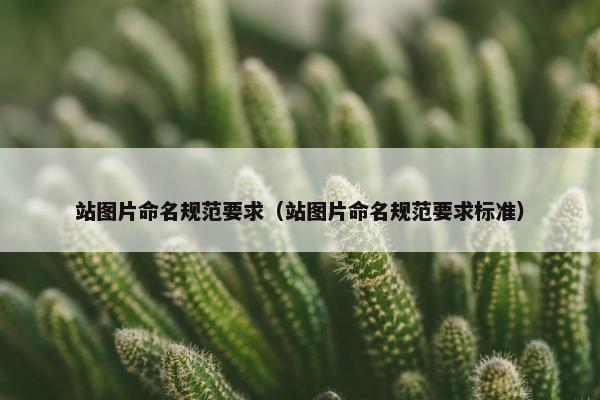 站图片命名规范要求（站图片命名规范要求标准）