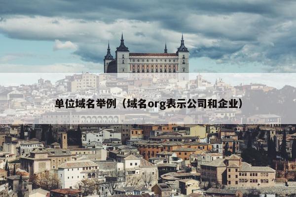 单位域名举例（域名org表示公司和企业）