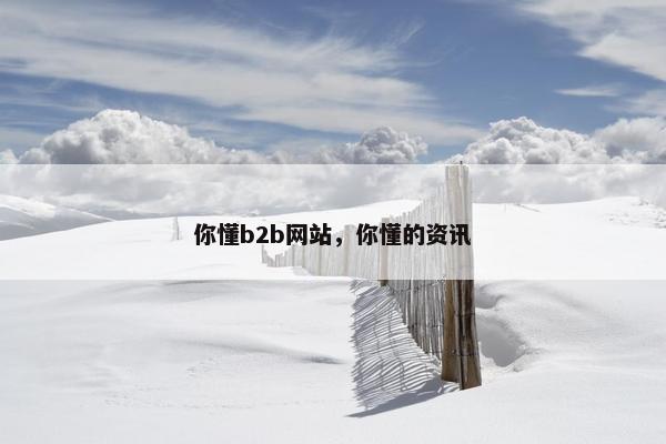 你懂b2b网站，你懂的资讯