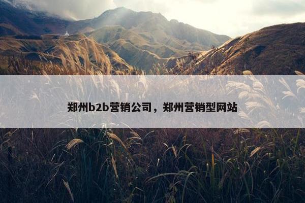 郑州b2b营销公司，郑州营销型网站