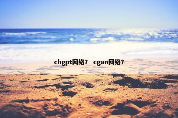 chgpt网络？ cgan网络？