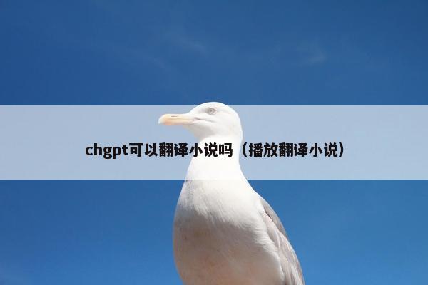chgpt可以翻译小说吗（播放翻译小说）