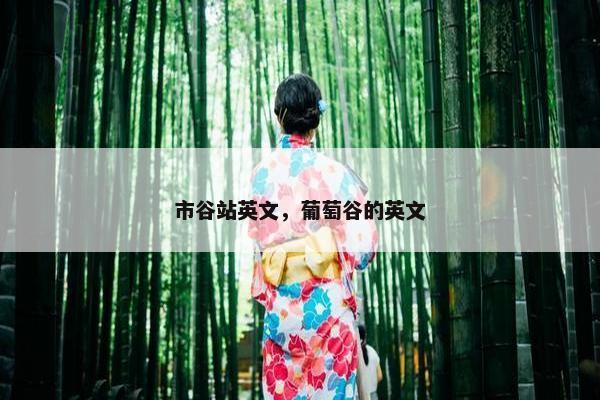 市谷站英文，葡萄谷的英文