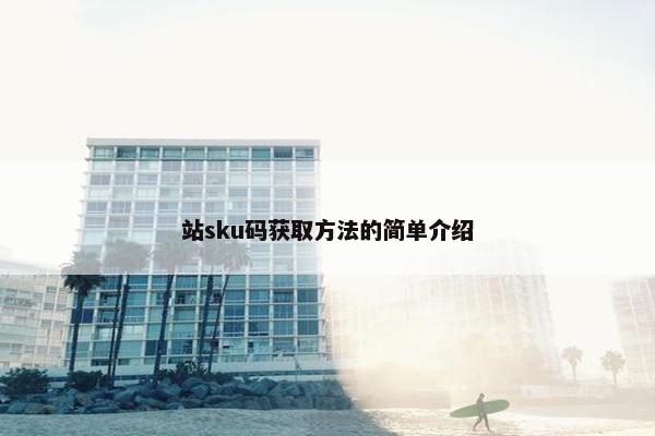 站sku码获取方法的简单介绍