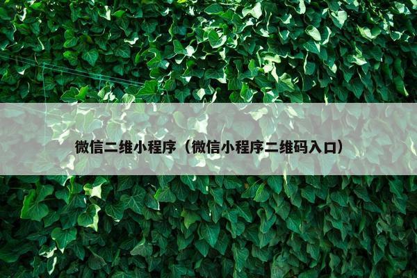 微信二维小程序（微信小程序二维码入口）