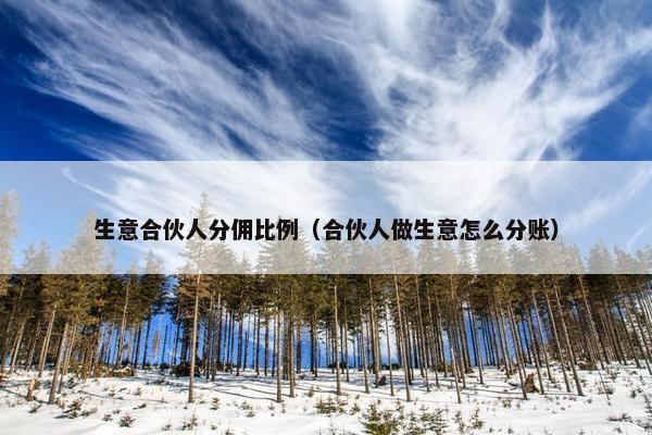 生意合伙人分佣比例（合伙人做生意怎么分账）