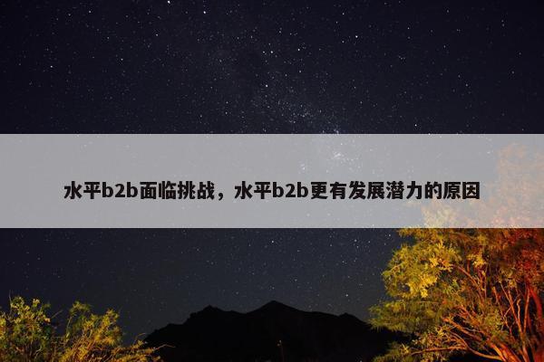 水平b2b面临挑战，水平b2b更有发展潜力的原因