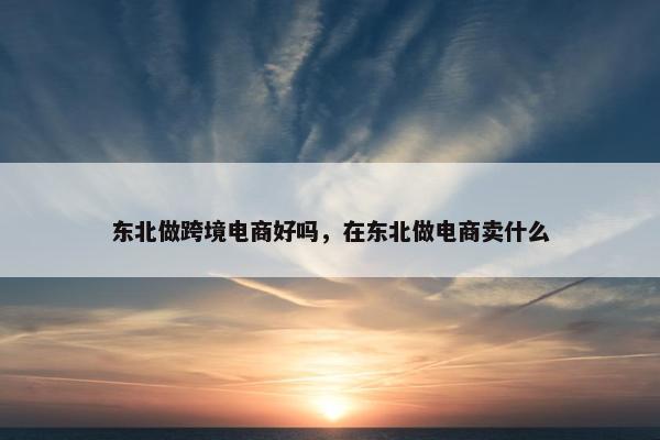 东北做跨境电商好吗，在东北做电商卖什么
