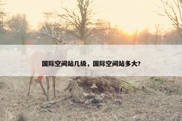 国际空间站几级，国际空间站多大?