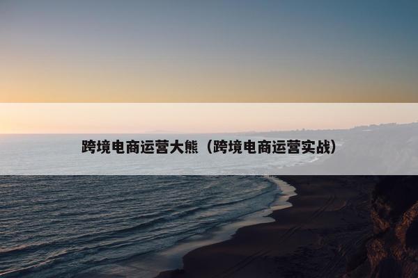 跨境电商运营大熊（跨境电商运营实战）