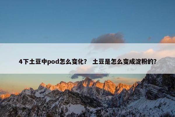 4下土豆中pod怎么变化？ 土豆是怎么变成淀粉的？