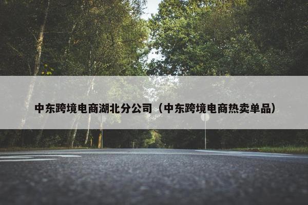中东跨境电商湖北分公司（中东跨境电商热卖单品）