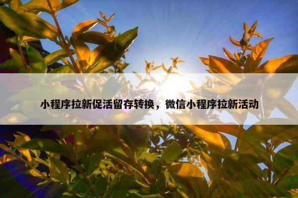 小程序拉新促活留存转换，微信小程序拉新活动