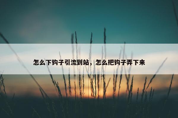 怎么下钩子引流到站，怎么把钩子弄下来