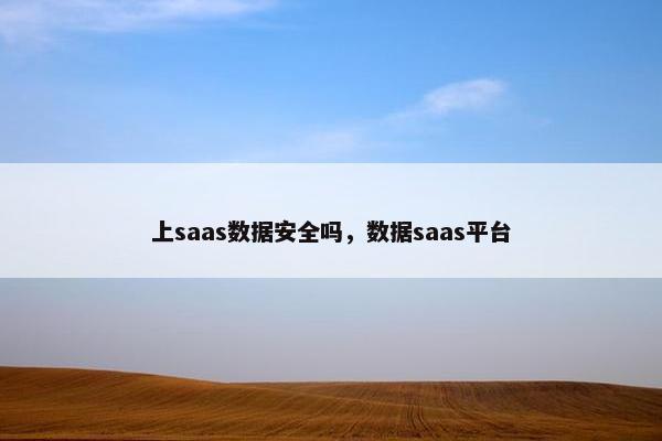 上saas数据安全吗，数据saas平台