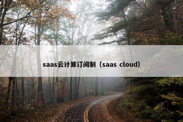 saas云计算订阅制（saas cloud）