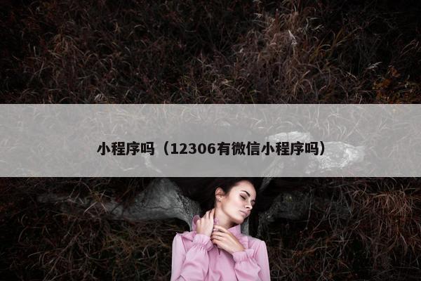 小程序吗（12306有微信小程序吗）