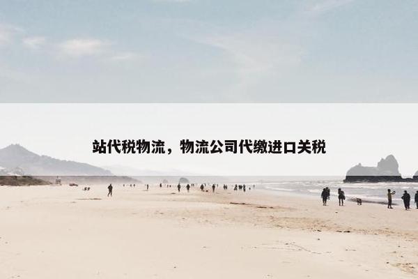 站代税物流，物流公司代缴进口关税