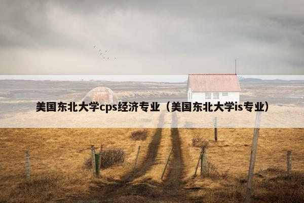 美国东北大学cps经济专业（美国东北大学is专业）