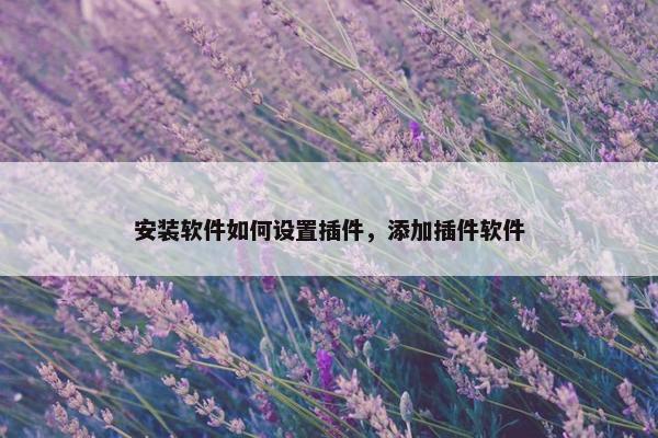 安装软件如何设置插件，添加插件软件