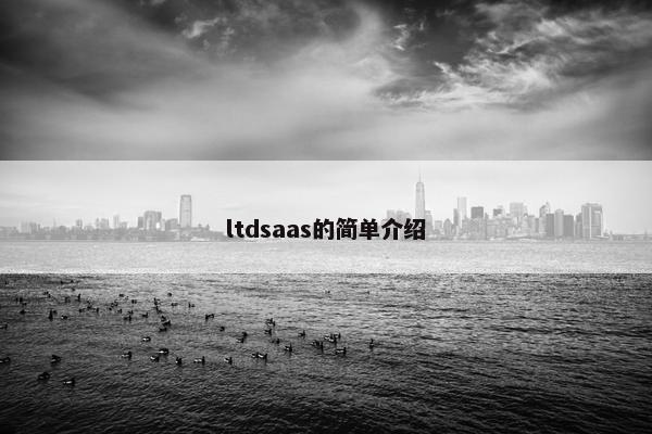 ltdsaas的简单介绍