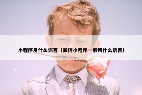 小程序用什么语言（微信小程序一般用什么语言）