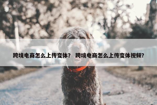 跨境电商怎么上传变体？ 跨境电商怎么上传变体视频？
