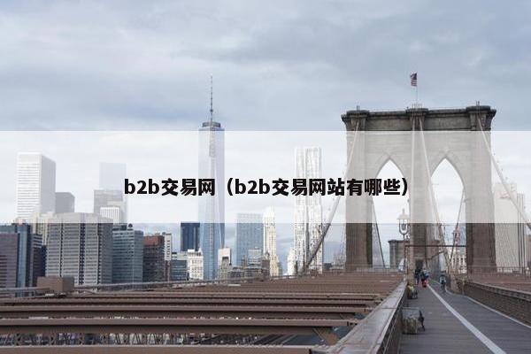 b2b交易网（b2b交易网站有哪些）
