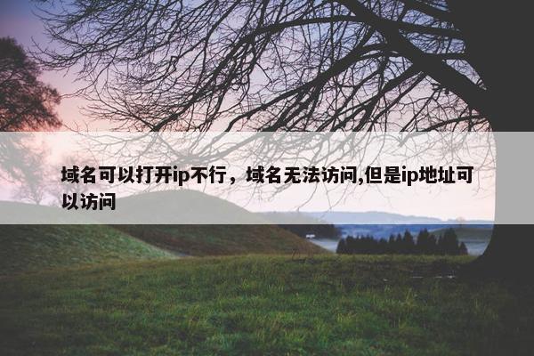 域名可以打开ip不行，域名无法访问,但是ip地址可以访问