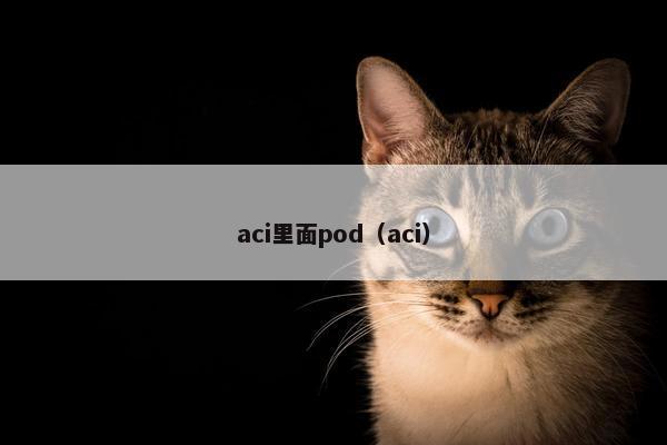 aci里面pod（aci）