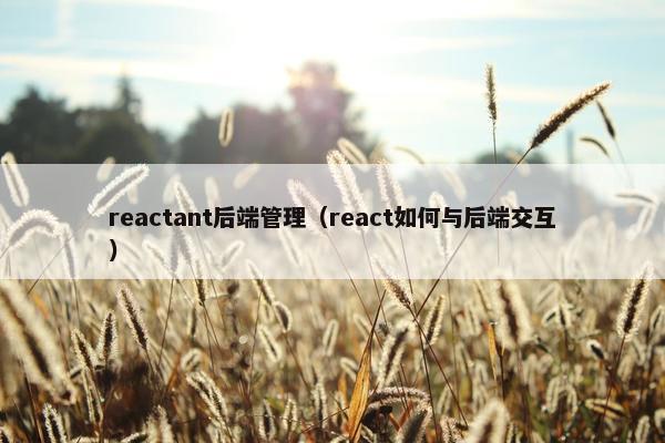 reactant后端管理（react如何与后端交互）