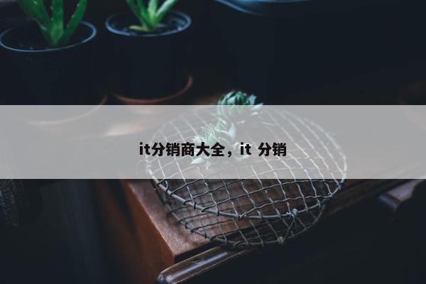 it分销商大全，it 分销