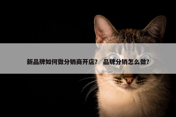 新品牌如何做分销商开店？ 品牌分销怎么做？